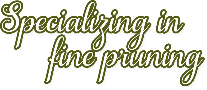 Specializing in fine pruning